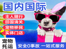 嘎洒机场货运国际宠物托运 【国